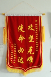榮獲“邯鄲孔雀城項(xiàng)目”集團(tuán)授予錦旗